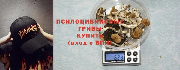 сатива Снежногорск