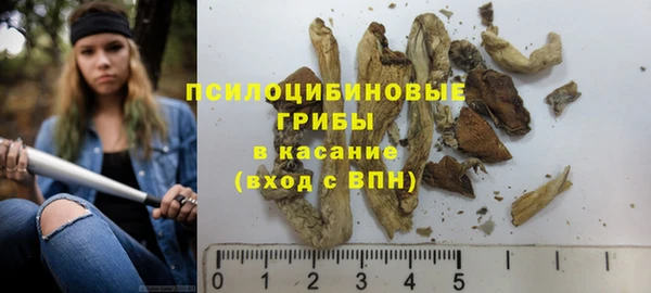 дурь Слюдянка