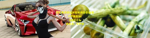 дурь Слюдянка