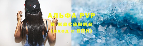 сатива Снежногорск