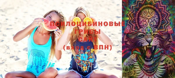 дурь Слюдянка