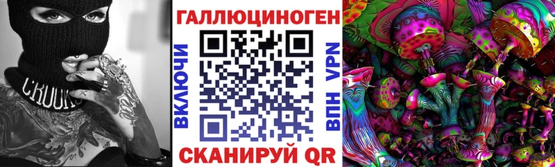 мориарти клад  гидра как войти  Приволжский  Галлюциногенные грибы Psilocybine cubensis 